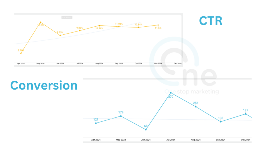 Google Ads Record: CTR and Conversions